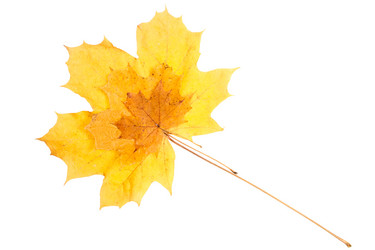 Similar image 1973487