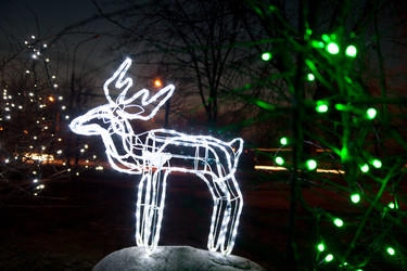 Similar image 1974020