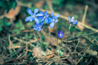 Similar image 1974026