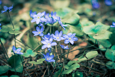 Similar image 1974033