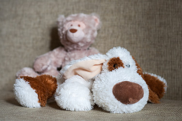 Similar image 1974035