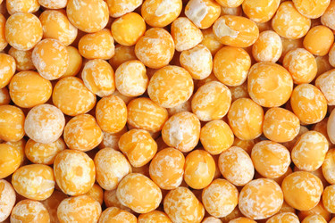 Similar image 1974116