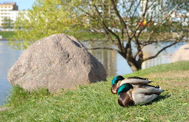 Similar image 1974123