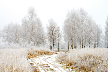 Similar image 1974168