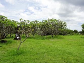 Similar image 1974272