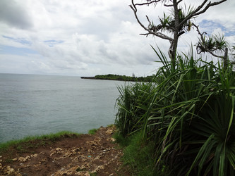 Similar image 1974282