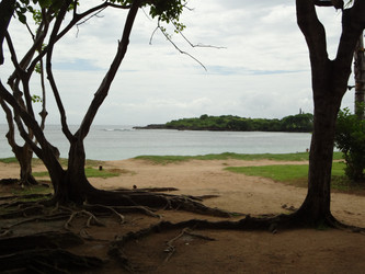 Similar image 1974290