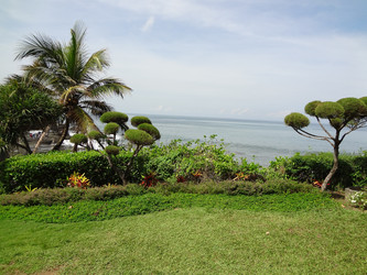 Similar image 1974474