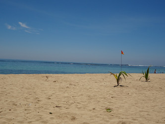 Similar image 1974496