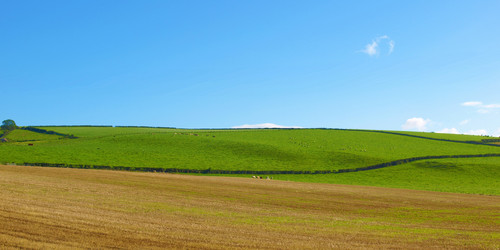 Similar image 1974584