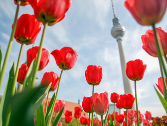 Similar image 1974612