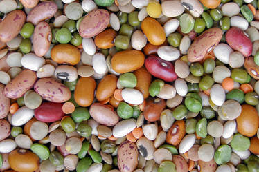 Similar image 1974678