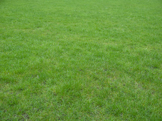 Similar image 1974691