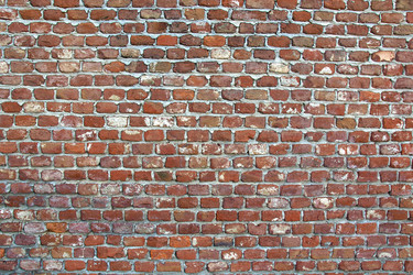 Similar image 1974696