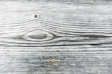 Similar image 1974996