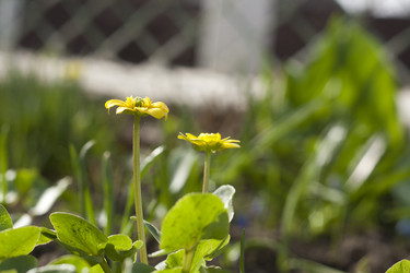 Similar image 1977406