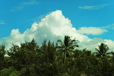 Similar image 1977800