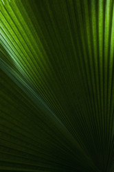 Similar image 1977805