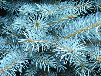 Similar image 1977967