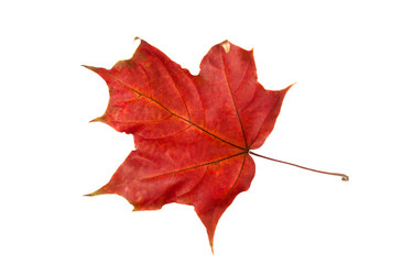 Similar image 1977972