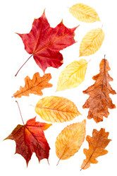 Similar image 1977976