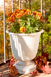 Similar image 1977977