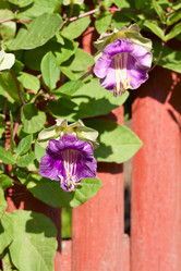 Similar image 1977982