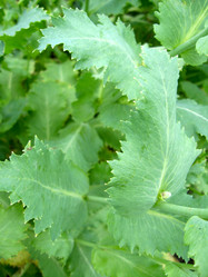 Similar image 1982340