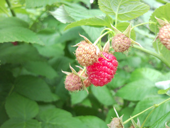 Similar image 1982351