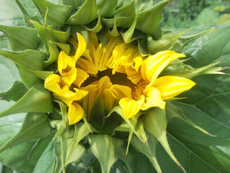 Similar image 1982353