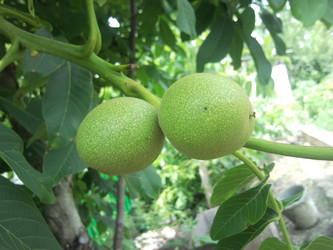 Similar image 1982357