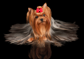 Similar image 1982407