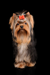 Similar image 1982409