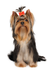 Similar image 1982417