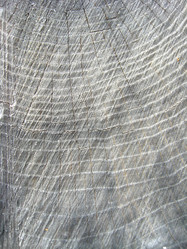 Similar image 1982431