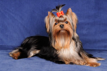 Similar image 1982456