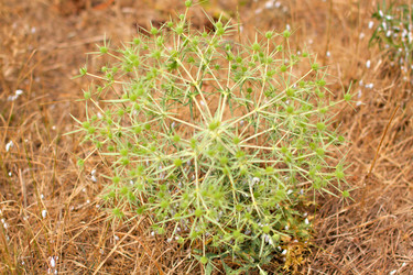 Similar image 1982678