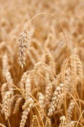 Similar image 1982784