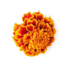 Similar image 1982786