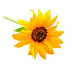 Similar image 1982787