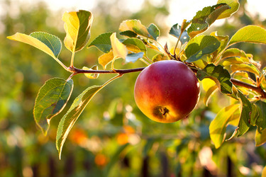 Similar image 1982789