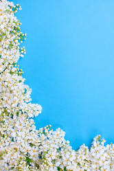 Similar image 1983524