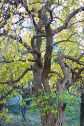 Similar image 1989529