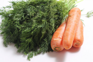 Similar image 1989809