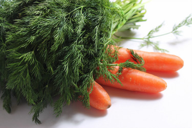 Similar image 1989810