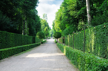 Similar image 1990812