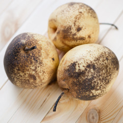 Similar image 1992434