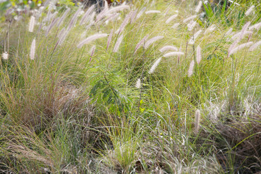 Similar image 1992911