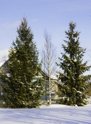 Similar image 1995532