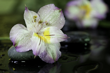 Similar image 1995806